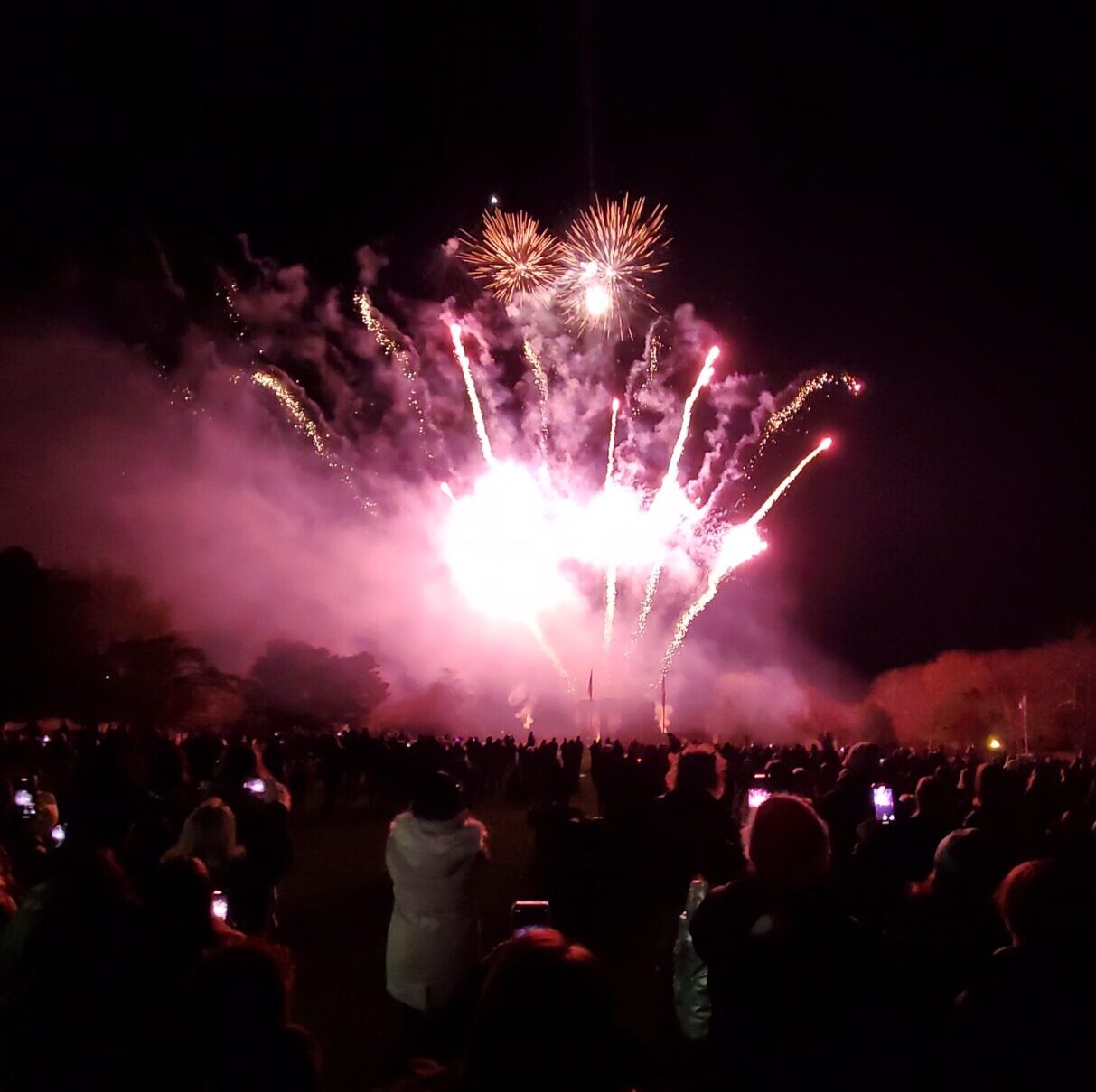 Donations Fireworks PLPA